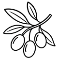 Маслини